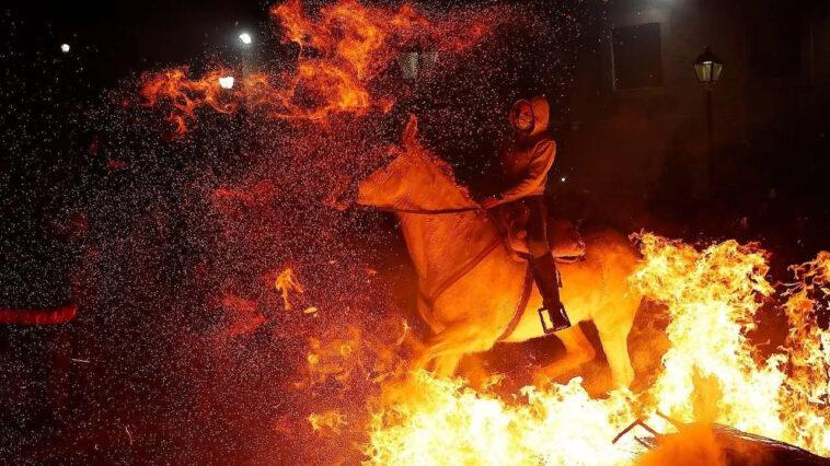 Horses and horsemen spain