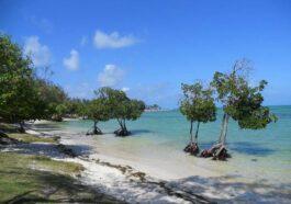 Mauritius Public Holiday 2022