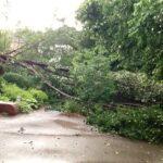 National Weather Service confirms tornado touched down in Cherokee County