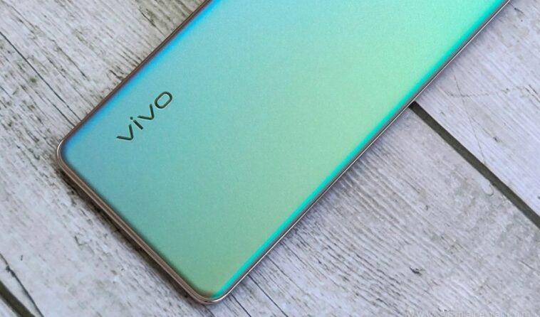 VIVO 1