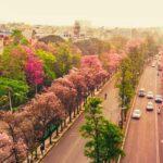 Best places to visit near Bangalore for a perfect weekend in 2022 (within 200 kms) bangalore