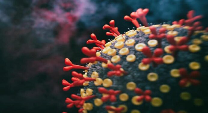 WHO warns against mistaking Omicron for a typical cold; the whole medical system might be damaged.