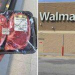 54082905 0 image a 127 1644616078102 11zon