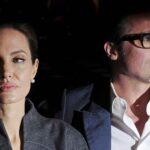 BRAD PITT SUES ANGELINA JOLIE FOR SELLING FRENCH VINEYARD