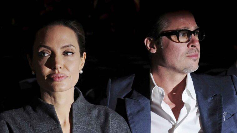 BRAD PITT SUES ANGELINA JOLIE FOR SELLING FRENCH VINEYARD