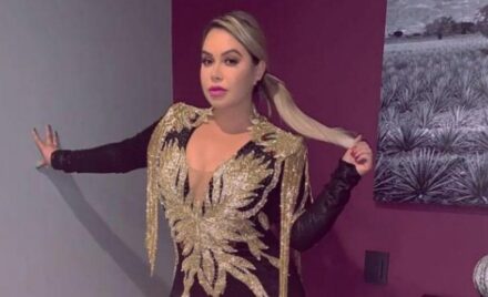 Chiquis Rivera made several confessions that few knew
