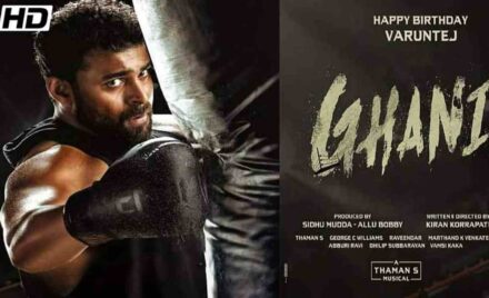 Ghani Movie