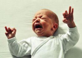 f608x342 254461 284184 15