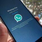 whatsapp plus 1