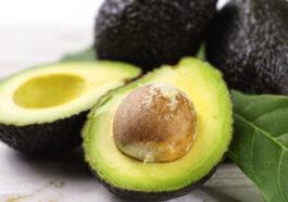 The avocado an ally against obesity