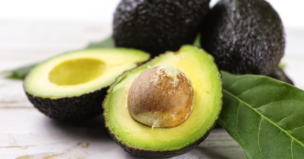 The avocado an ally against obesity