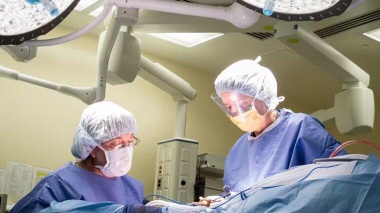 What is clitoroplasty