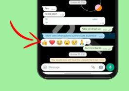 WhatsApp starts testing reactions on Android beta