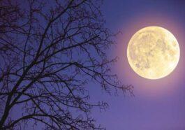 luna llena 428584084