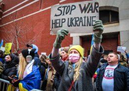 pexels photo 11291117