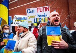 pexels photo 11291157