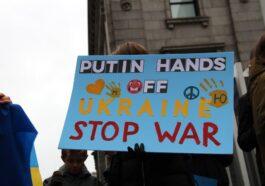 pexels photo 11322858