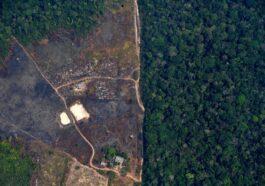 Brazil establishes a concerning new Amazon deforestation record