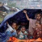 Jahangirpuri Violence: Who are the Rohingya Muslims who are being accused of rioting and how did they get here? The BJP has told the hand of Rohingya Muslims behind the Jahangirpuri violence