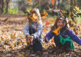 pexels photo 1582736