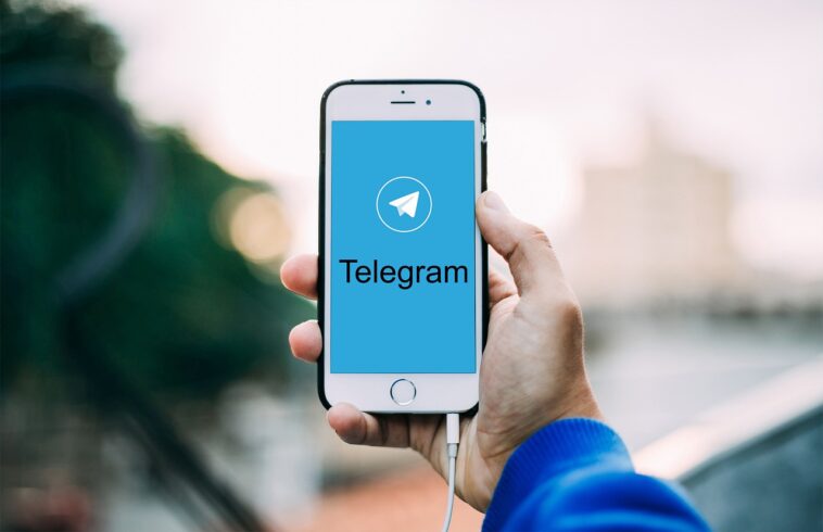 Telegram Web Z is updated allowing copy numbers, speed improvements and more 7016419