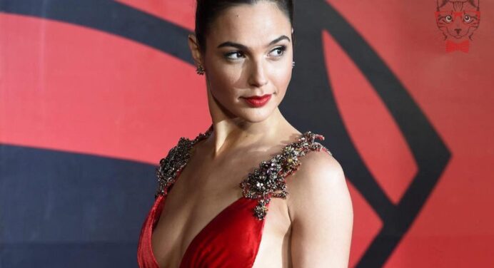 Gal Gadot meets with the president of Israel, was questioned