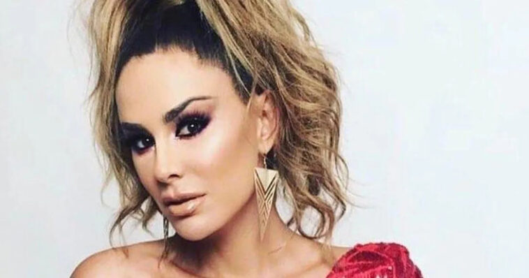 Ninel Conde shows off her great body in a pink swimsuit in front of the mirror