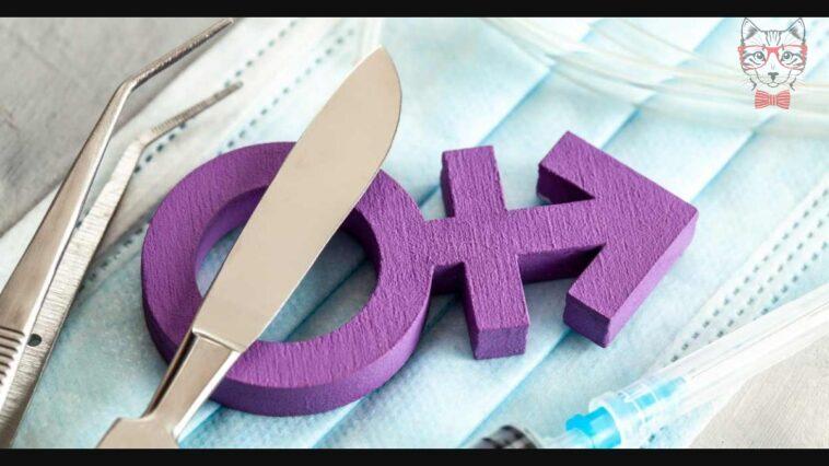 Prisoners in the wrong body how a man can turn into a woman