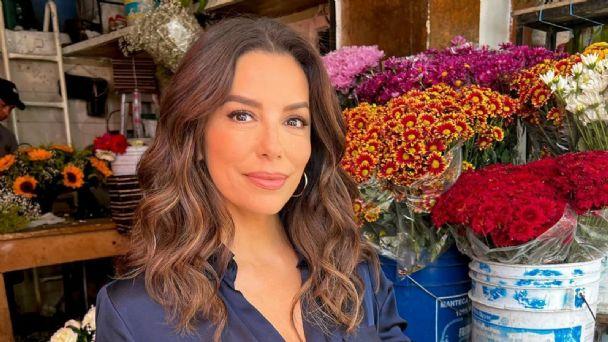 f608x342 28093 57816 0