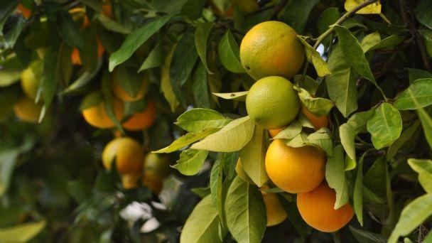 f608x342 29337 59060 0