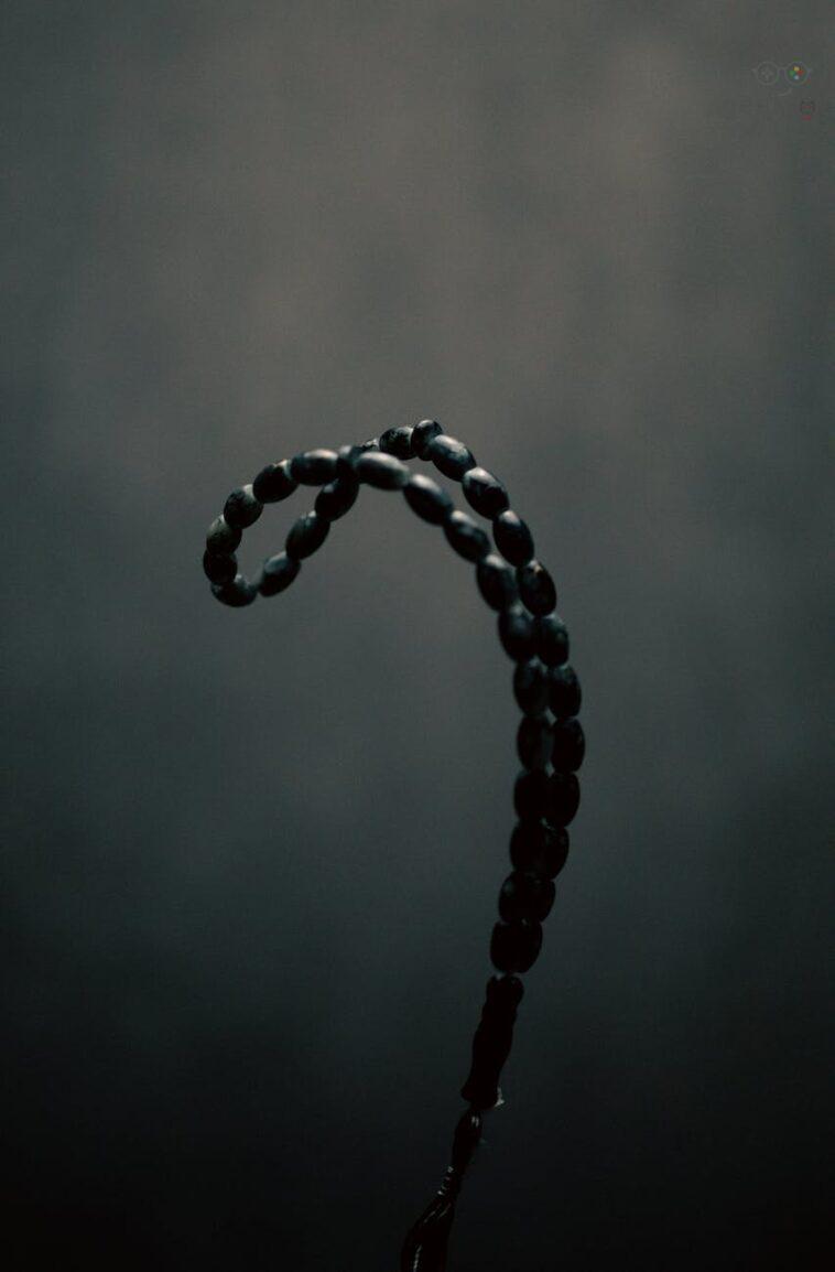 pexels photo 10204401