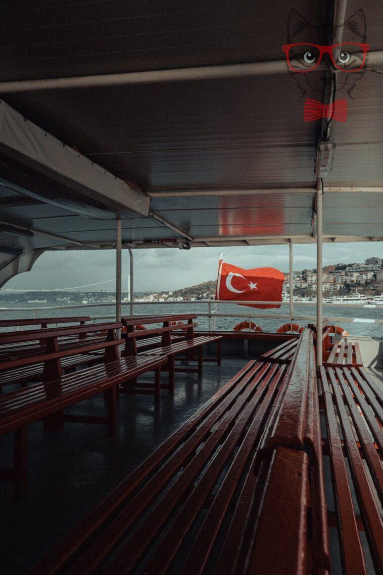 pexels photo 11440615