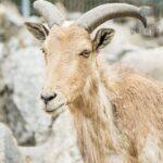 pexels photo 12010875