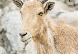 pexels photo 12010875