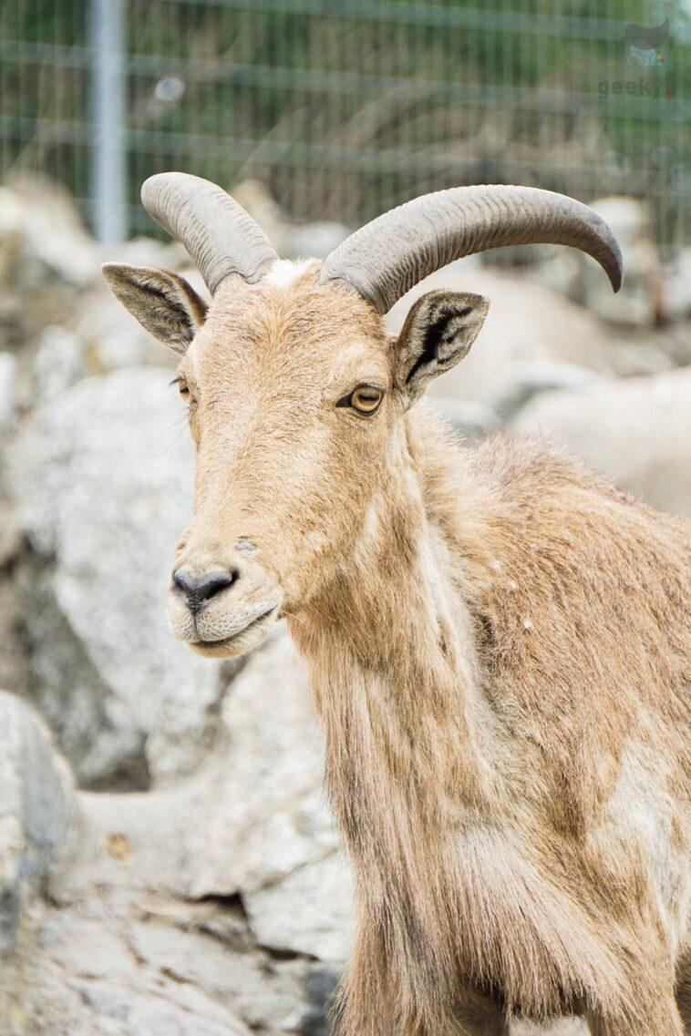 pexels photo 12010875