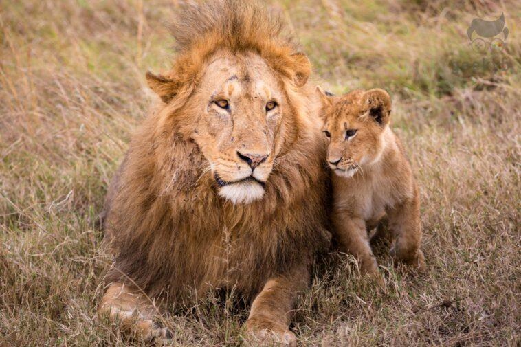 pexels photo 6056027