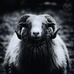 pexels photo 7326857