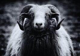 pexels photo 7326857