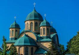 pexels photo 9027685