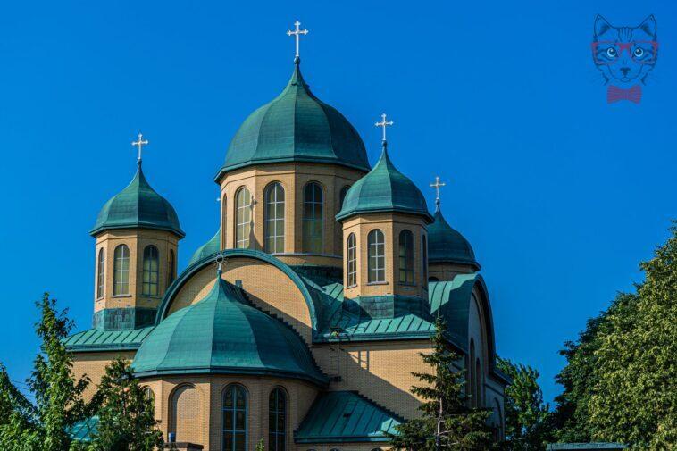 pexels photo 9027685