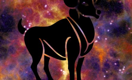 1647163