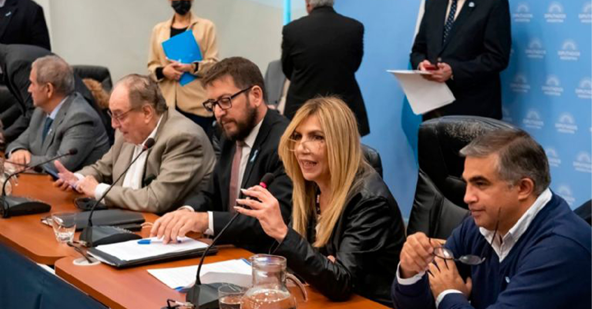 Single ballot Graciela Camano