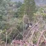 Uttarkashi Bus Accident: Passengers' bus fell into a ditch in Uttarkashi, 25 people died in the accident so far c7bfb7e48e0ed5d085ae358f06c5a062 original