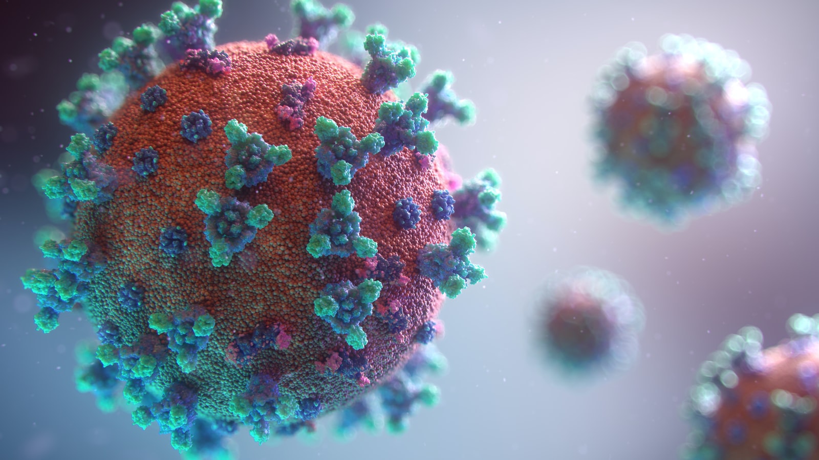 Outbreak of Meningococcal Disease in Florida: CDC Urges Gay Men to Get Vaccined rnr8d3fnuny