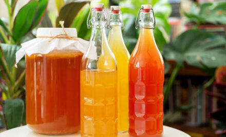 kombucha lead