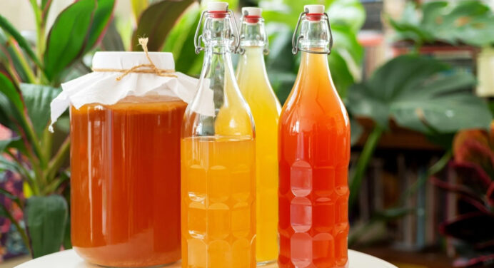 Kombucha For Weight Loss: You Should Try It At Least Once!