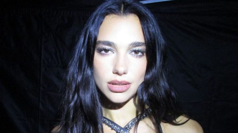 Dua Lipa imposed fashion again on social networks