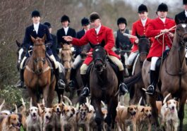 Long established Holcombe Hunt