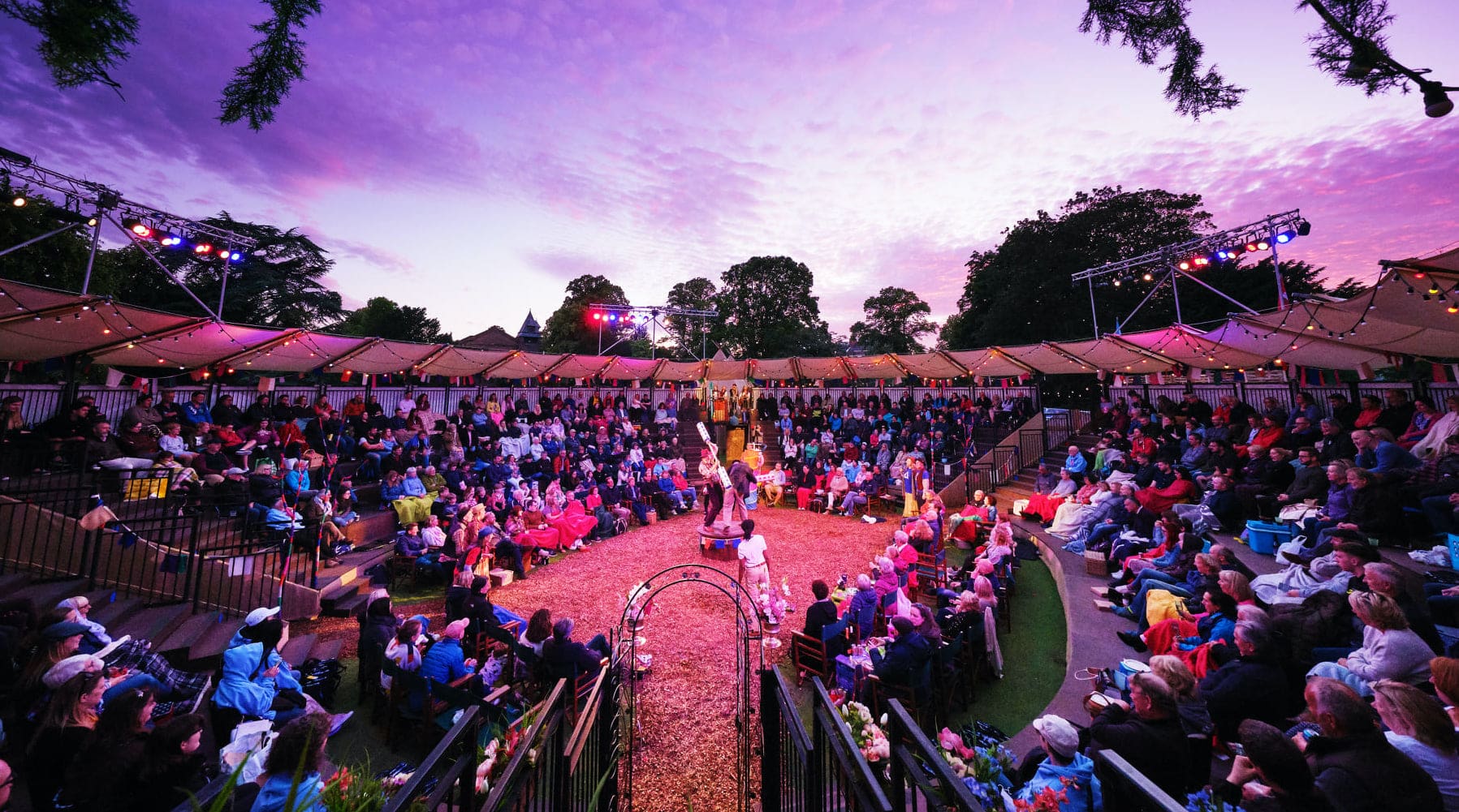 Traveling With Chester