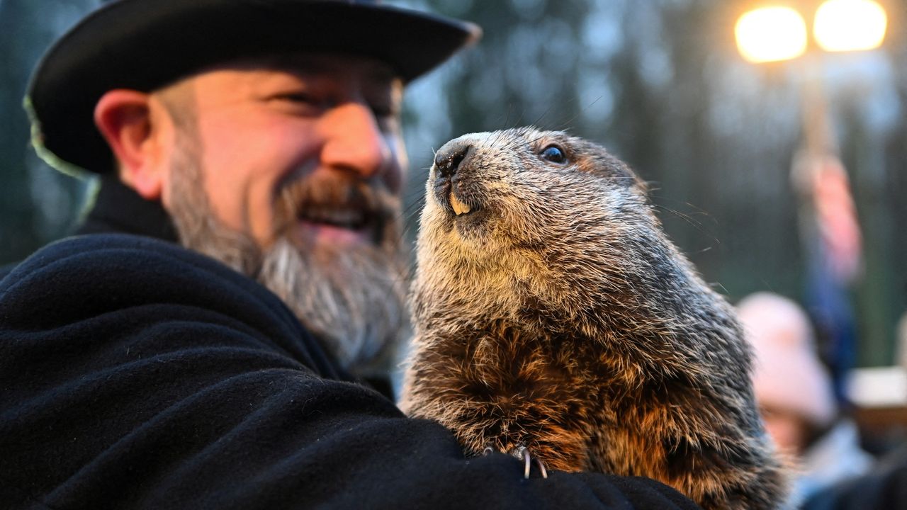 Learn the History of Groundhog Day and When It Will Be in 2023 Groundhog Day